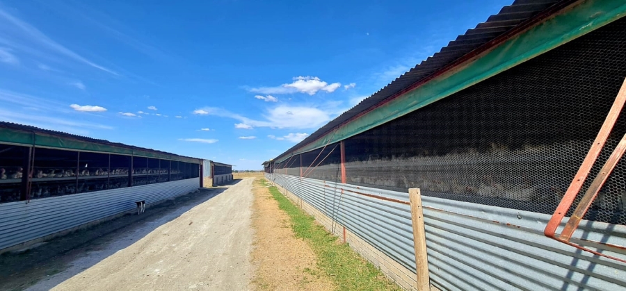 Commercial Property for Sale in Bloemfontein Rural Free State